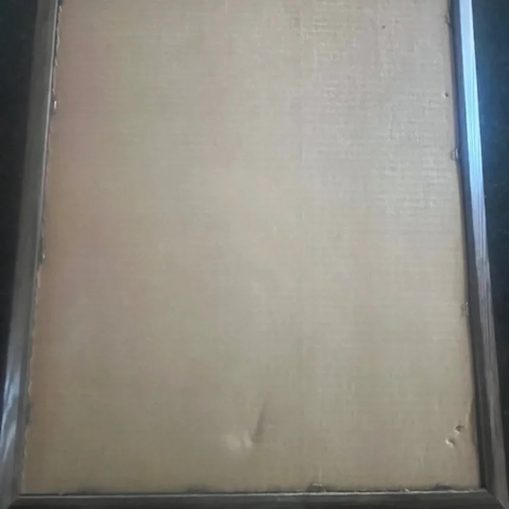 Vintage - RARE Framed Bailey's Irish Name Mirror Map featuring Irish names